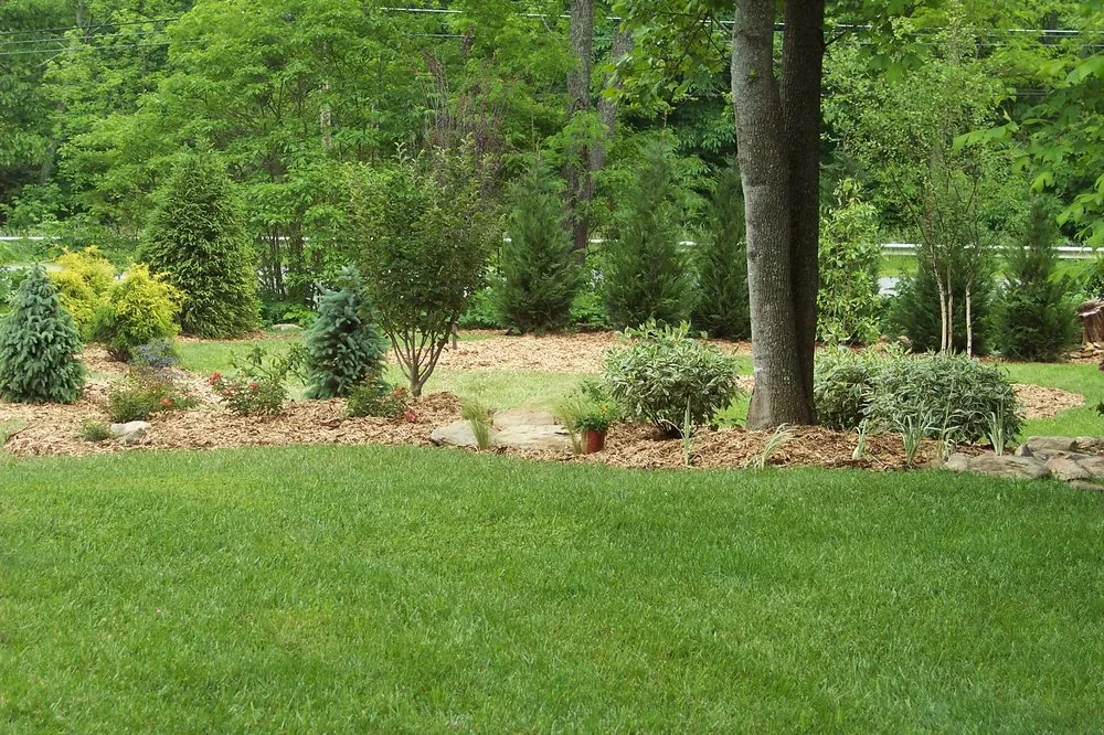 Trusted lawn mowing service with custom design across Stony Point, NC - The Dynamic Dragonfly,