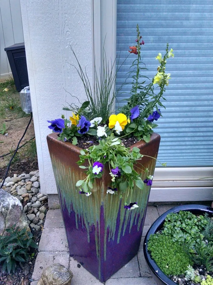 Local garden landscaping in Stony Point, NC by The Dynamic Dragonfly,