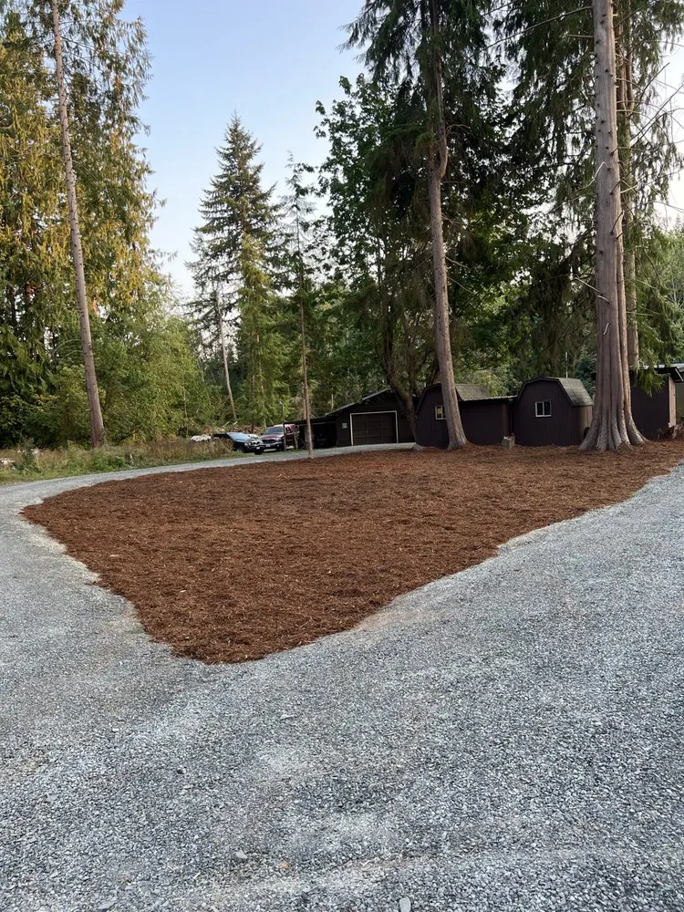 Professional lawn mowing service in Everett, WA - The Eagle Landscaping and Construction