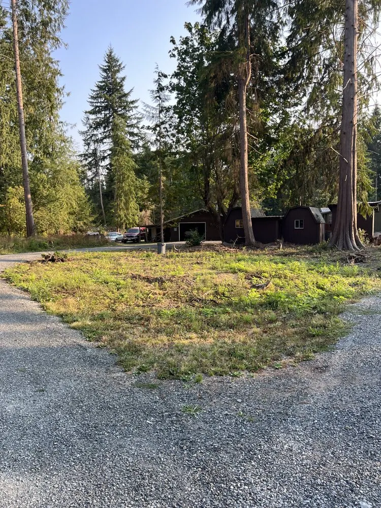 Reliable yard maintenance in Everett, WA by The Eagle Landscaping and Construction