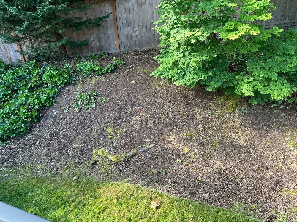 Top-rated landscape design experts serving Everett, WA - The Eagle Landscaping and Construction