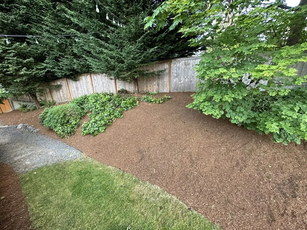 Expert outdoor landscaping in Everett, WA - The Eagle Landscaping and Construction