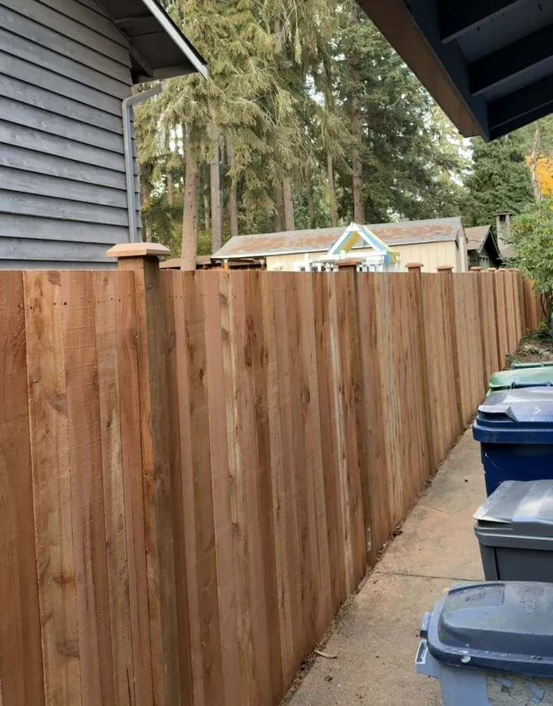 Professional lawn care service experts serving Everett, WA - The Eagle Landscaping and Construction