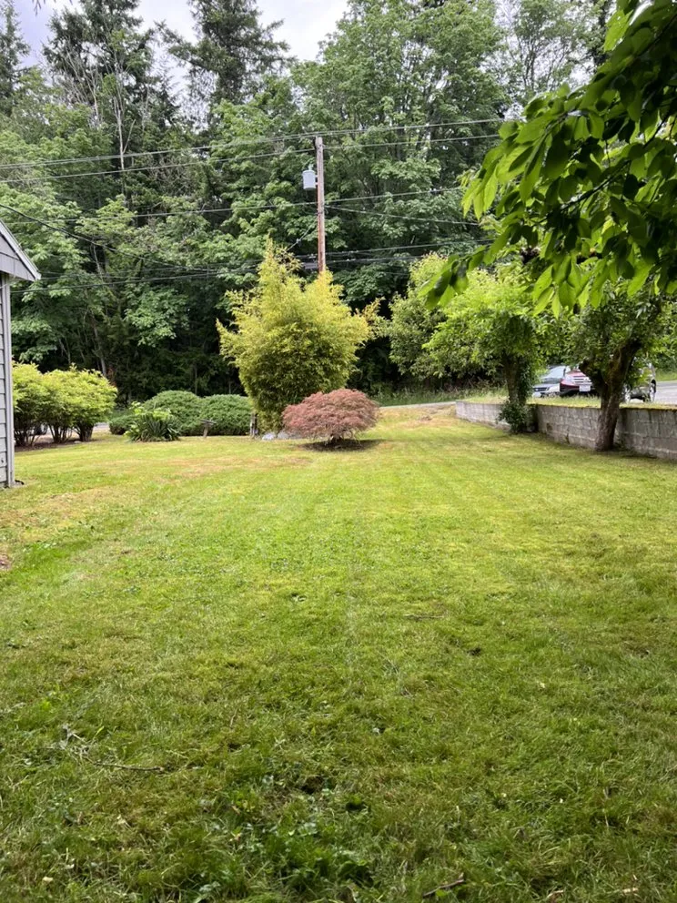 Expert landscape design for beautiful yards across Everett, WA - The Eagle Landscaping and Construction