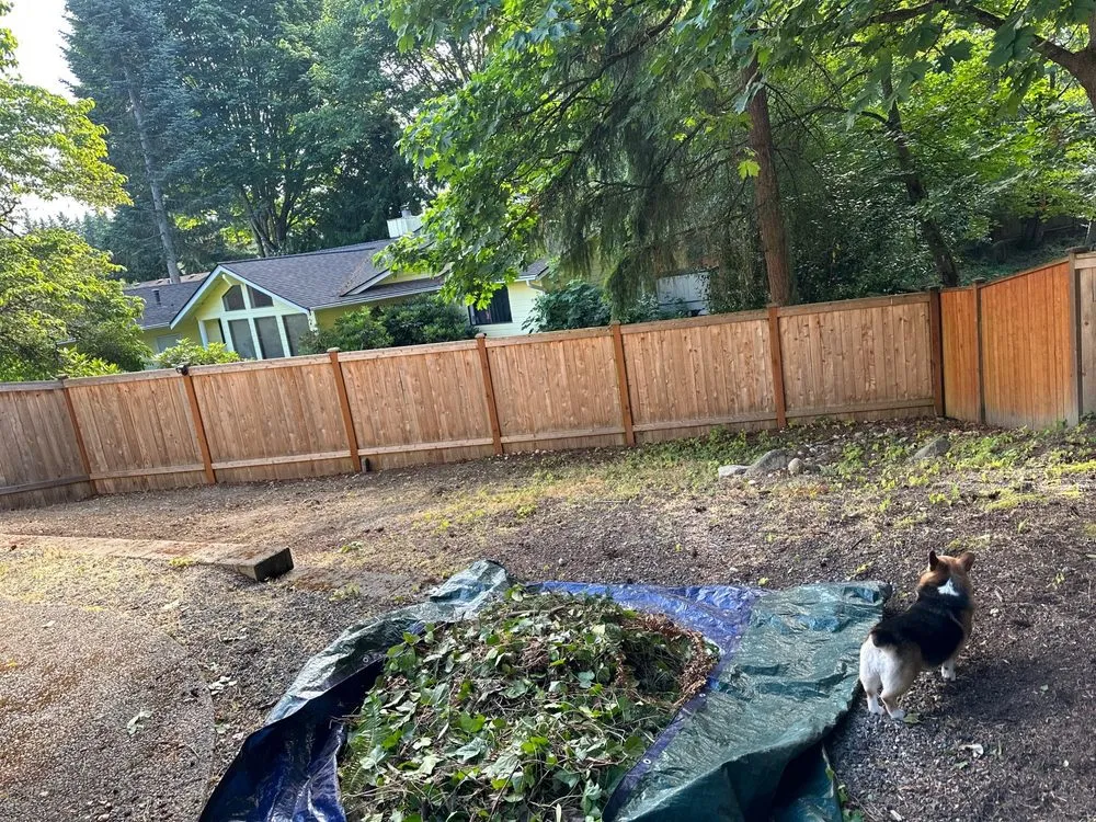 Local outdoor landscaping with custom design across Everett, WA - The Eagle Landscaping and Construction