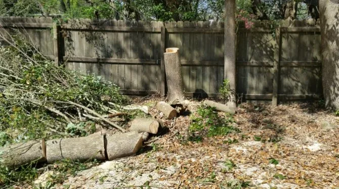Affordable landscape installation in Bradenton, FL - The Eagles Tree Service