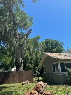 Professional yard maintenance experts serving Bradenton, FL - The Eagles Tree Service