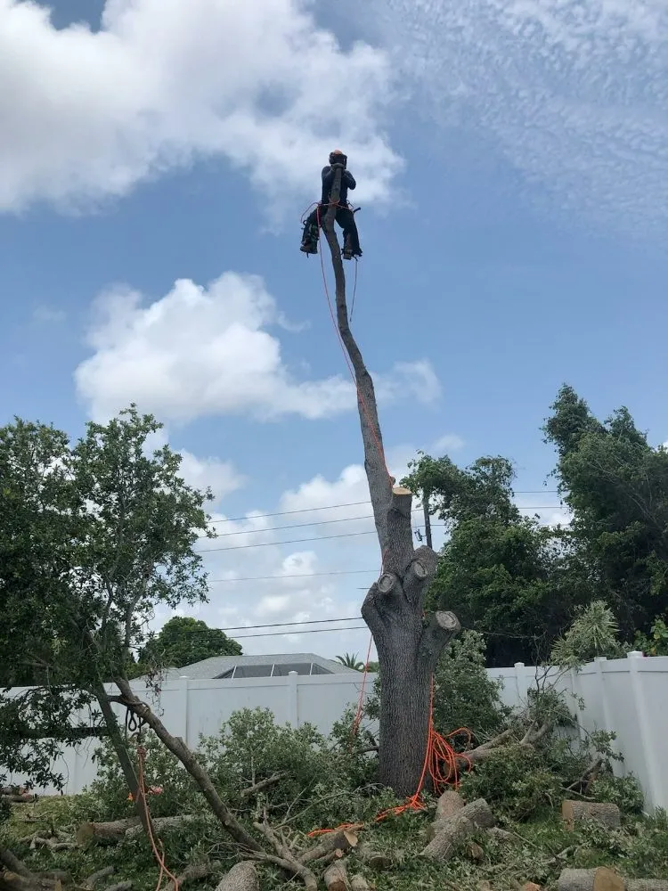 Expert lawn mowing service for residential properties in Bradenton, FL by The Eagles Tree Service