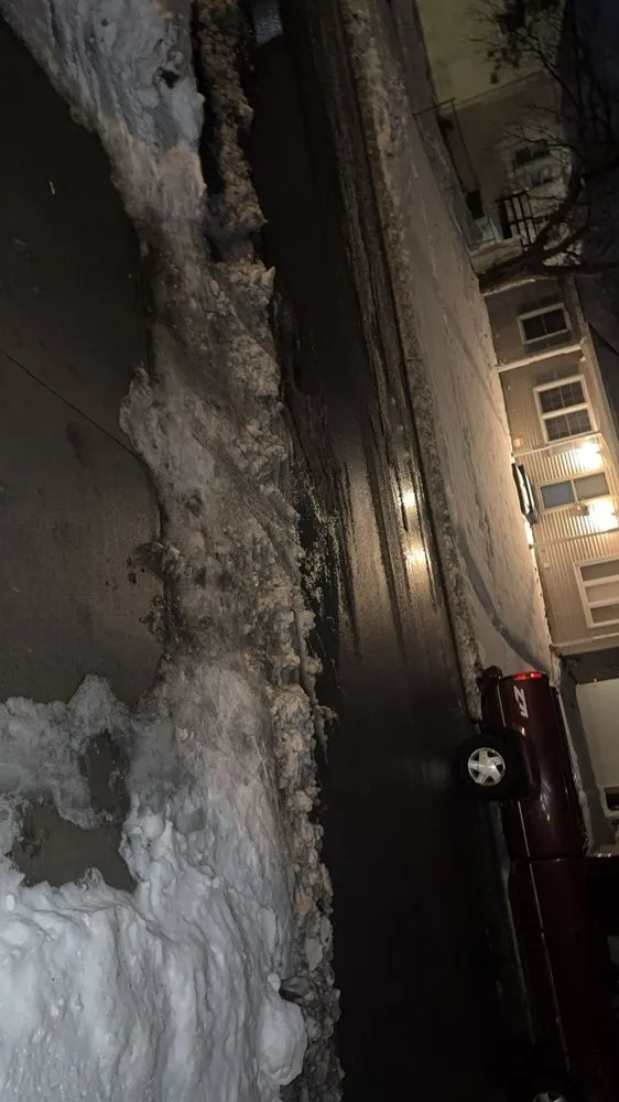 Reliable yard cleanup service in Waterloo, IA by The Edgar Effect