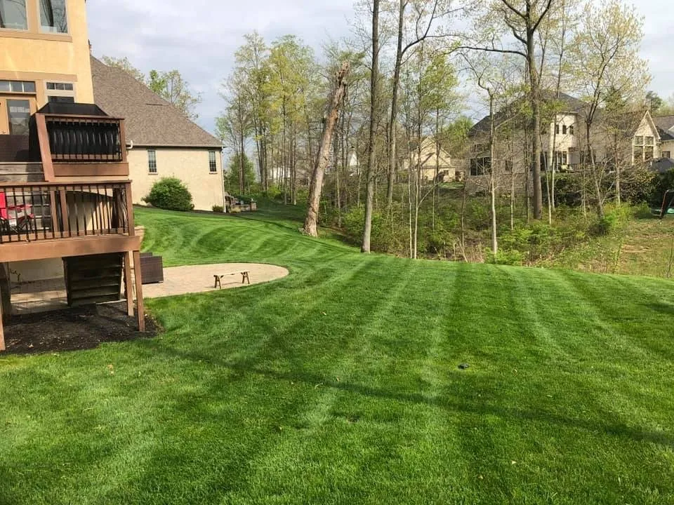 Professional yard cleanup service with custom design in Delaware, OH by The EH Group