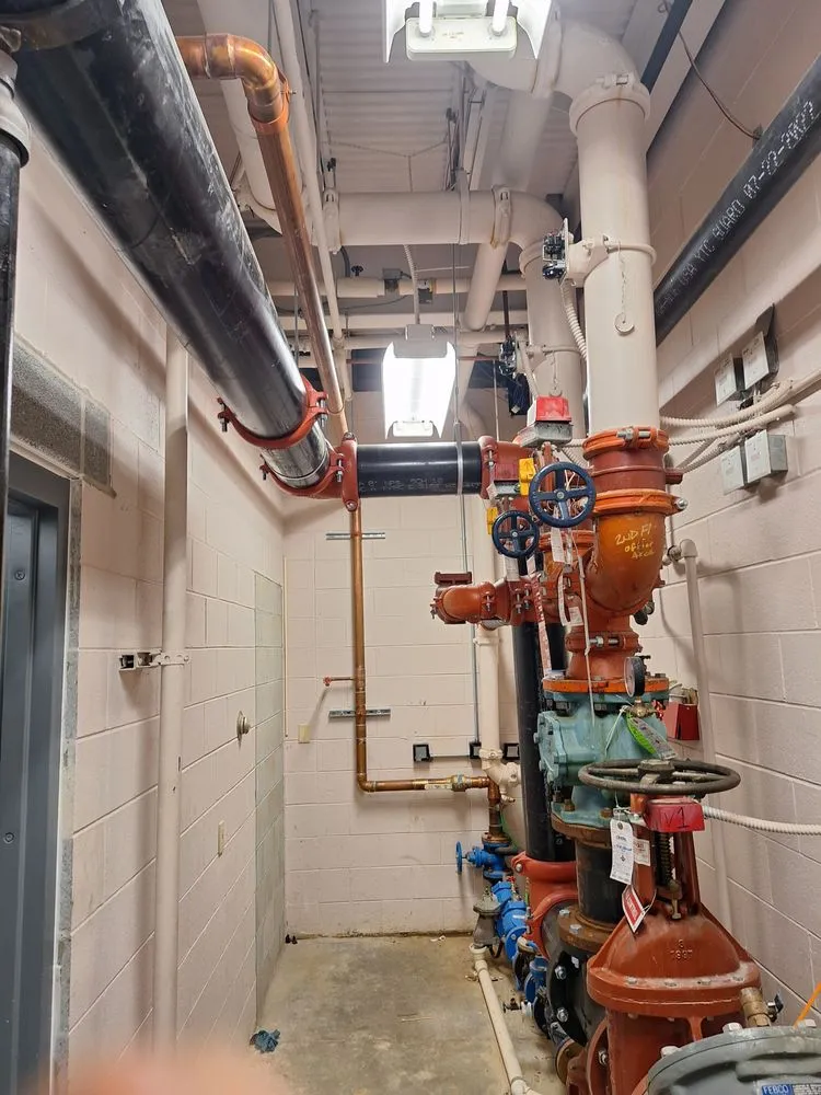 Expert yard cleanup service in Coatesville, PA - The Elite Handyman