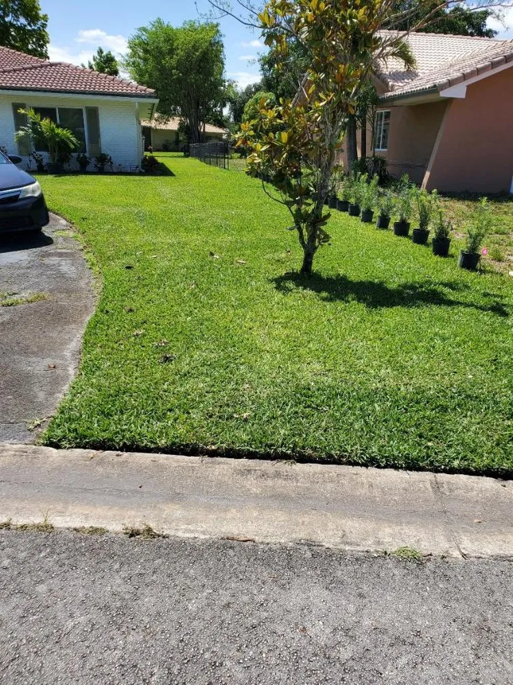 Custom outdoor landscaping for year-round maintenance across Coral Springs, FL - The Elite Ones Landscaping