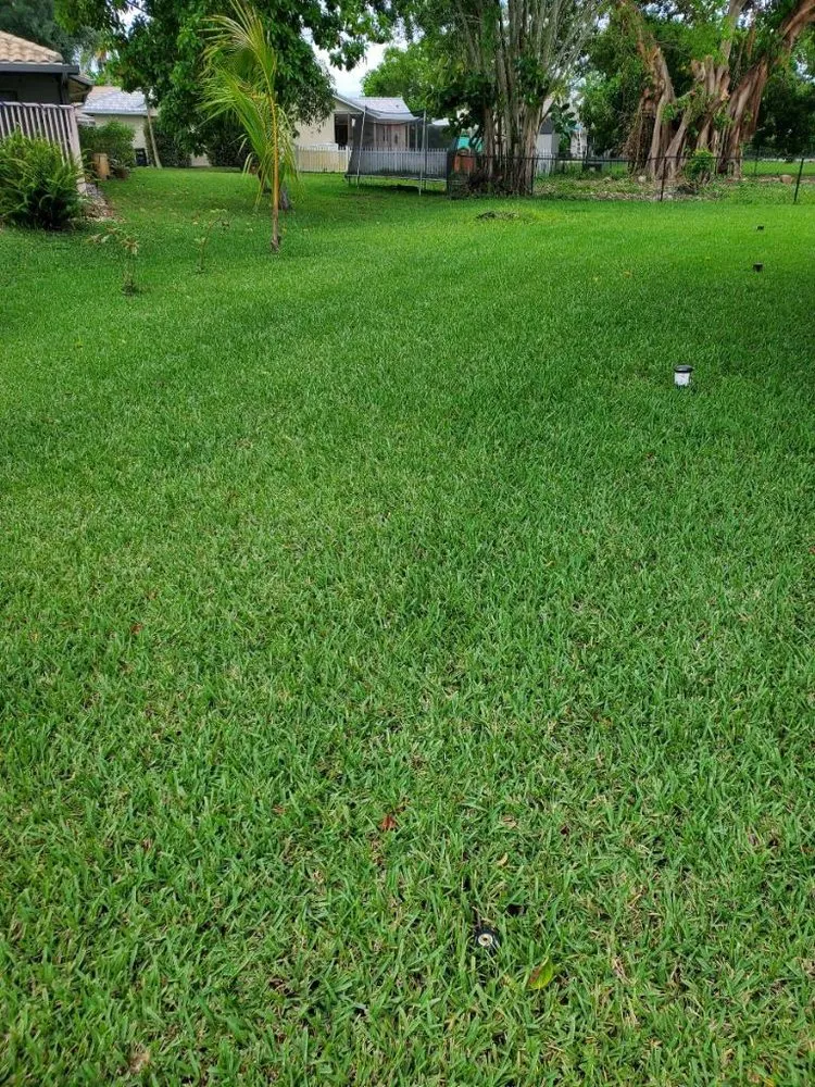 Custom outdoor landscaping near you across Coral Springs, FL - The Elite Ones Landscaping