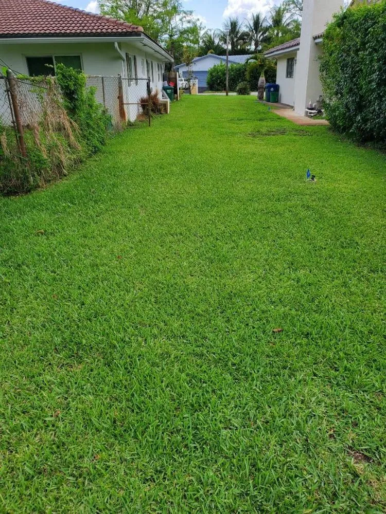 Professional yard cleanup service experts serving Coral Springs, FL - The Elite Ones Landscaping