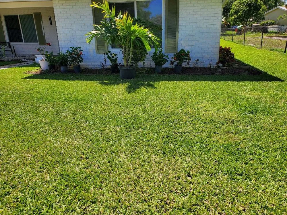 Top-rated lawn care service near you in Coral Springs, FL by The Elite Ones Landscaping