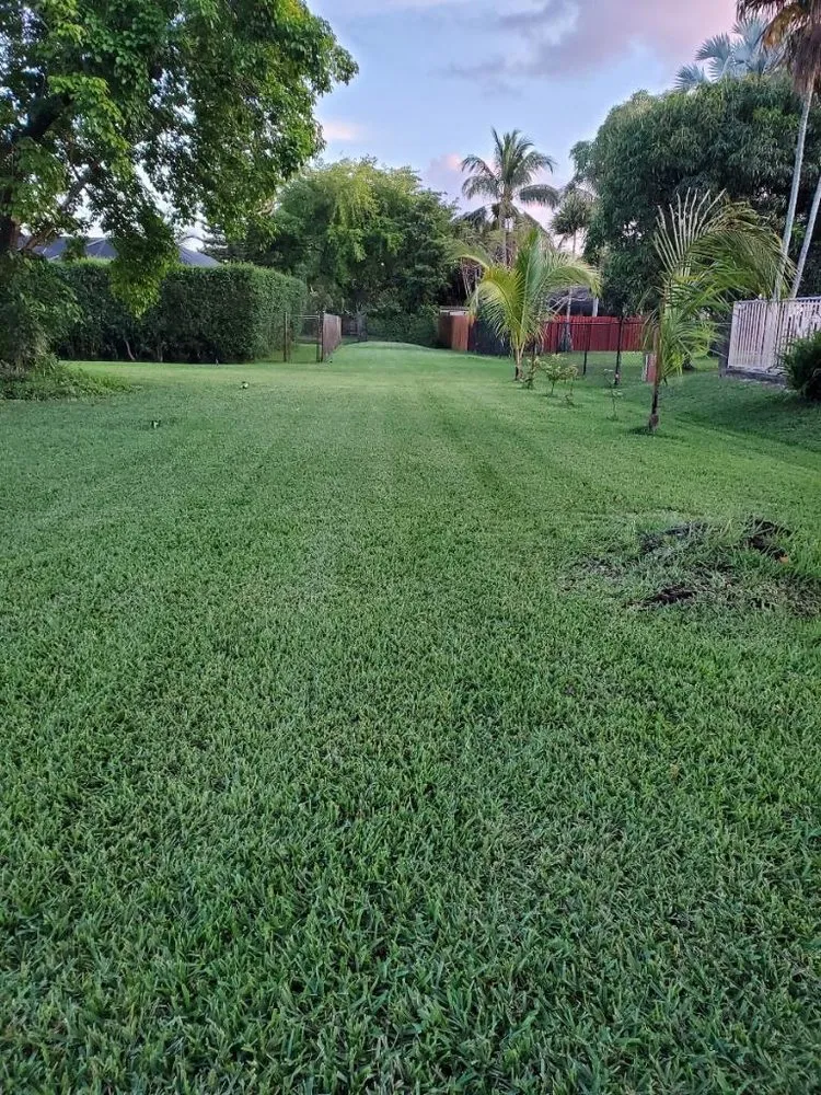 Trusted residential landscaping in Coral Springs, FL - The Elite Ones Landscaping