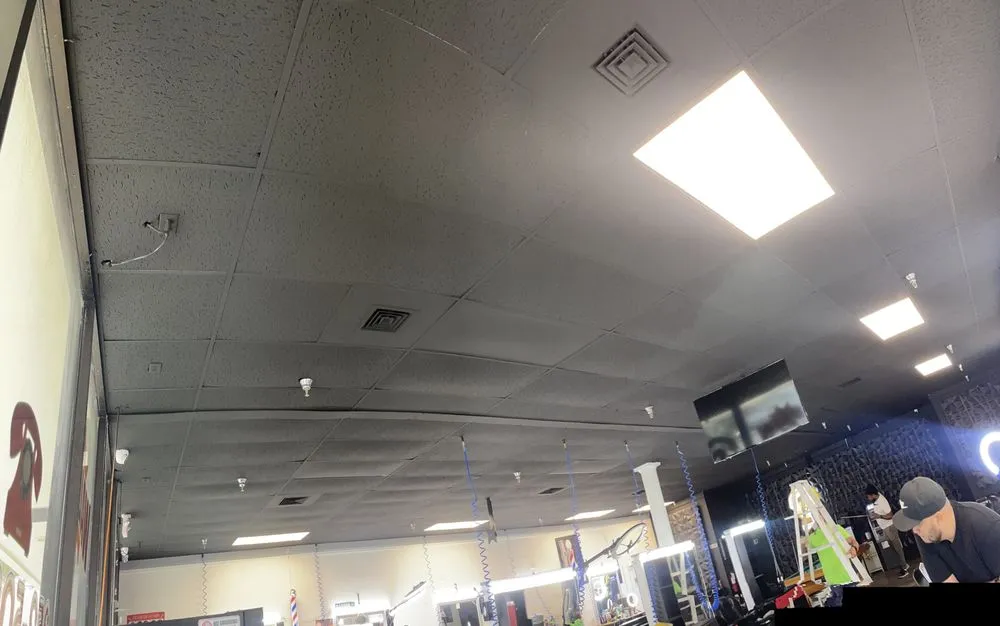 Reliable landscape installation experts serving Homosassa, FL - The Empire Legacy