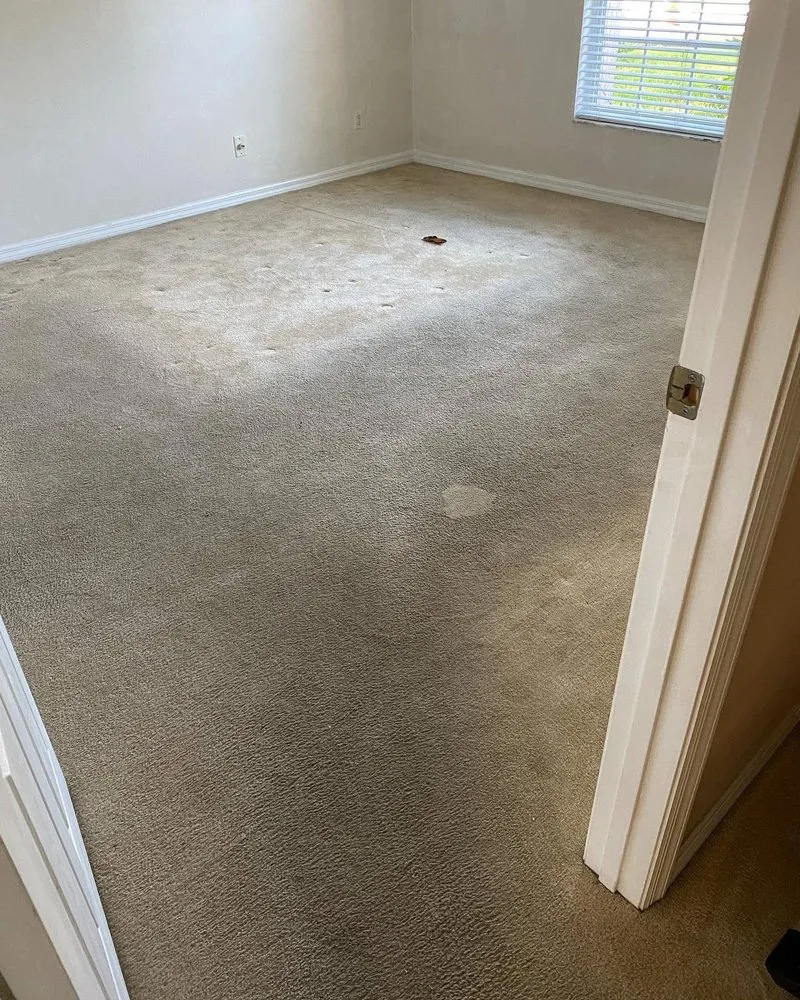 Reliable outdoor landscaping in Homosassa, FL - The Empire Legacy