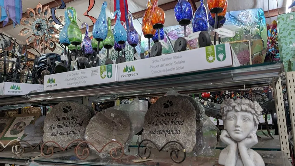 Custom yard cleanup service in Madison, AL - The Enchanted Forest