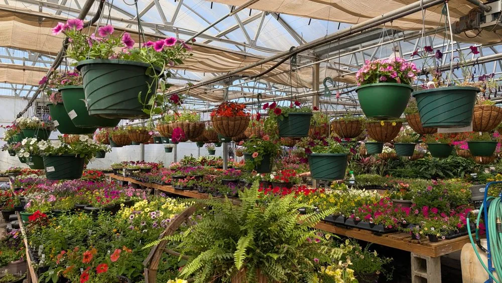 Custom lawn mowing service in Madison, AL by The Enchanted Forest