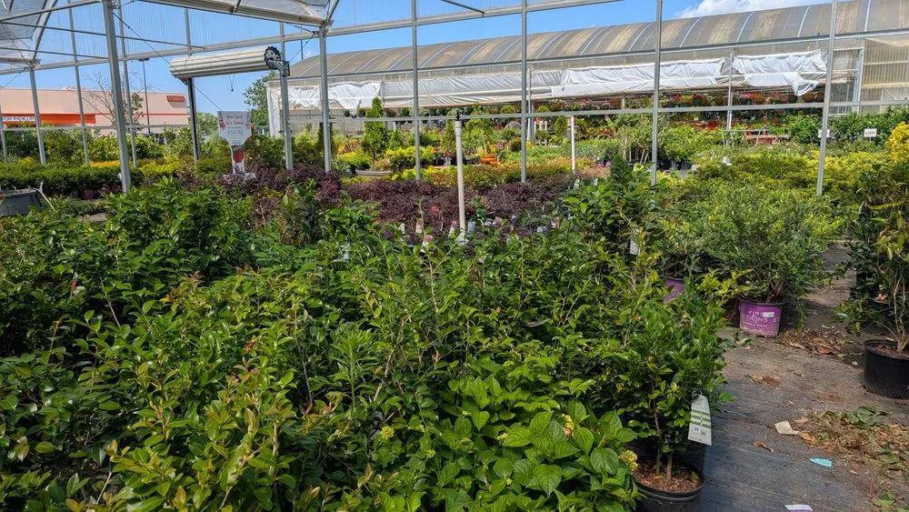 Trusted lawn care service in Madison, AL by The Enchanted Forest