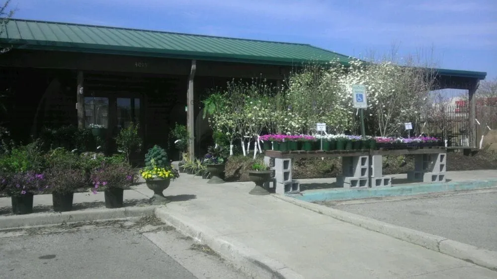 Affordable lawn care service in Madison, AL by The Enchanted Forest