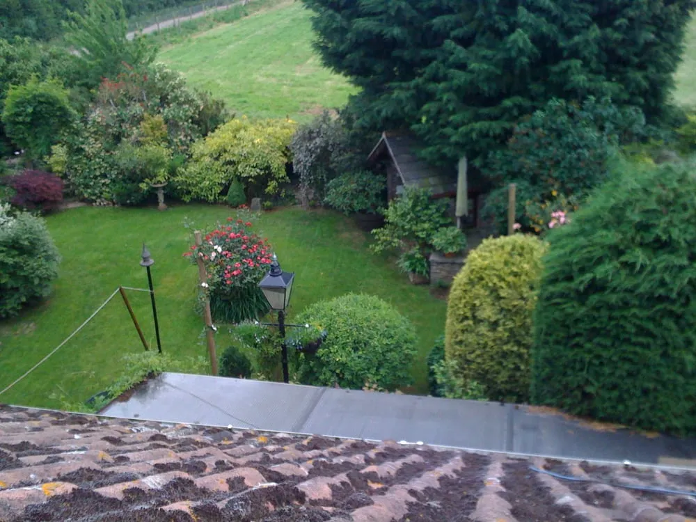 Reliable lawn care service in Larchmont, NY by The English Gardener