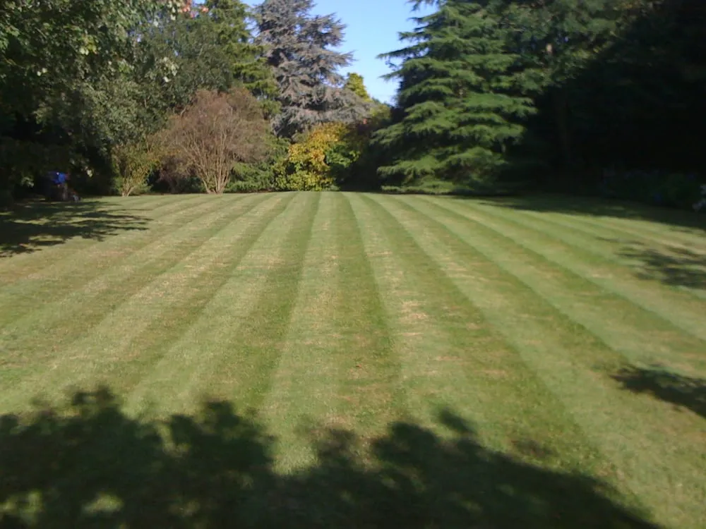 Expert landscape installation in Larchmont, NY by The English Gardener