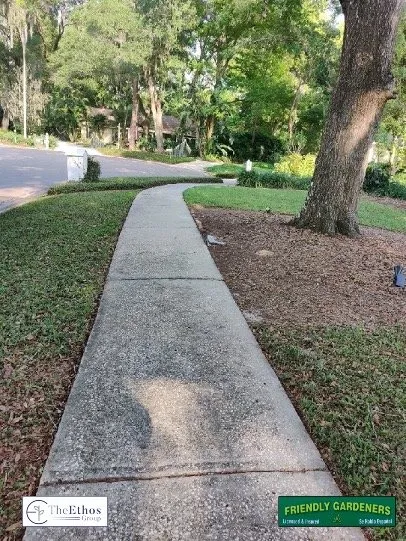 Professional landscaping services in New Port Richey, FL - The Ethos Group