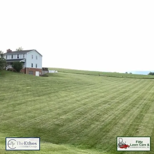 Professional residential landscaping in New Port Richey, FL by The Ethos Group