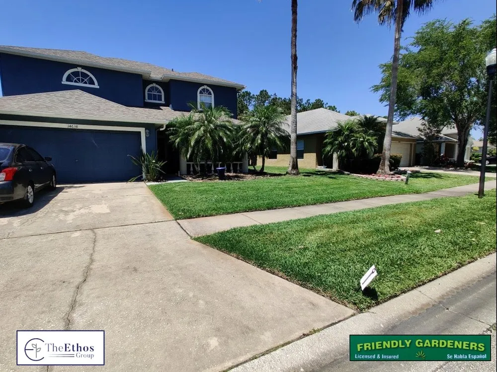 Reliable yard cleanup service in New Port Richey, FL - The Ethos Group