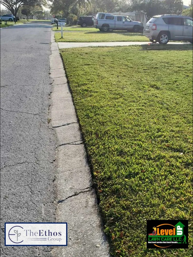 Reliable landscape design in New Port Richey, FL by The Ethos Group