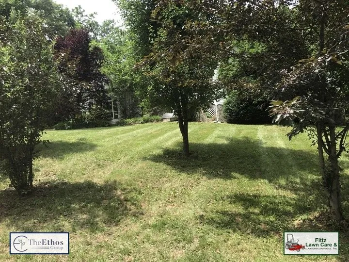 Custom landscape installation experts serving New Port Richey, FL - The Ethos Group