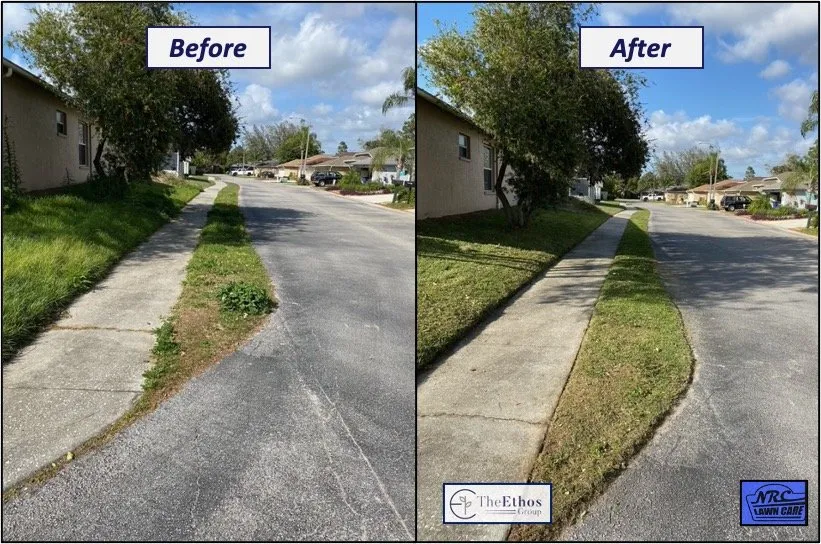Top-rated lawn care service for outdoor upgrades in New Port Richey, FL by The Ethos Group