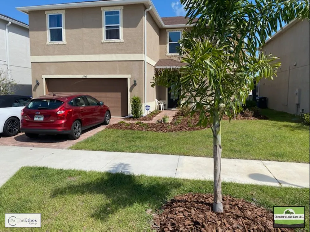 Local outdoor landscaping for homes in New Port Richey, FL by The Ethos Group