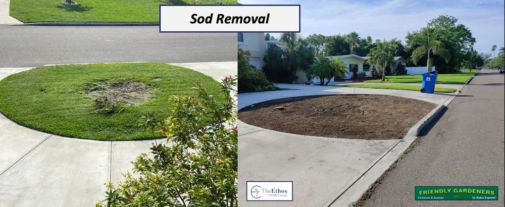 Custom landscape installation in New Port Richey, FL by The Ethos Group