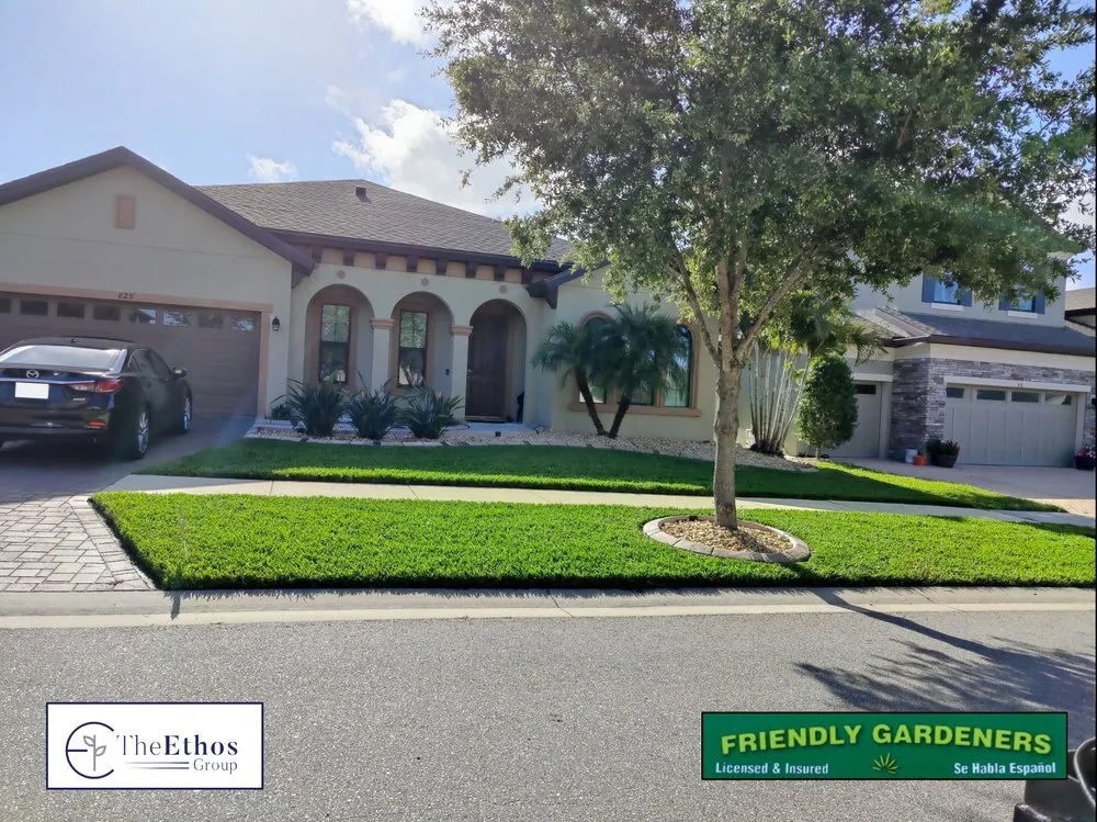 Affordable yard maintenance experts serving New Port Richey, FL - The Ethos Group