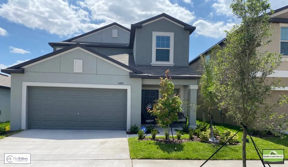 Local yard maintenance in New Port Richey, FL - The Ethos Group