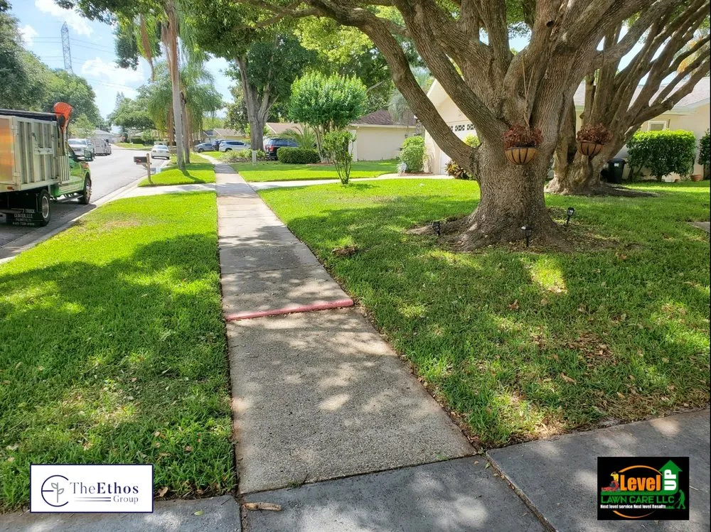 Professional landscaping services in New Port Richey, FL - The Ethos Group