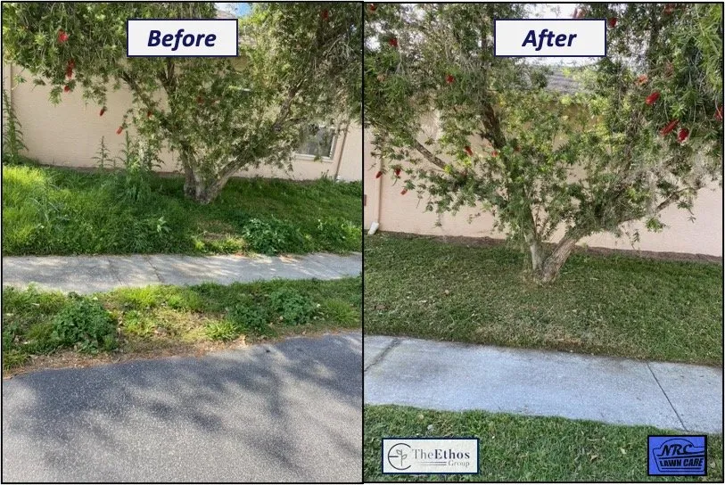Expert outdoor landscaping for outdoor upgrades in New Port Richey, FL by The Ethos Group