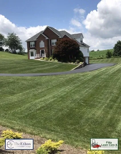 Affordable yard cleanup service for beautiful yards across New Port Richey, FL - The Ethos Group