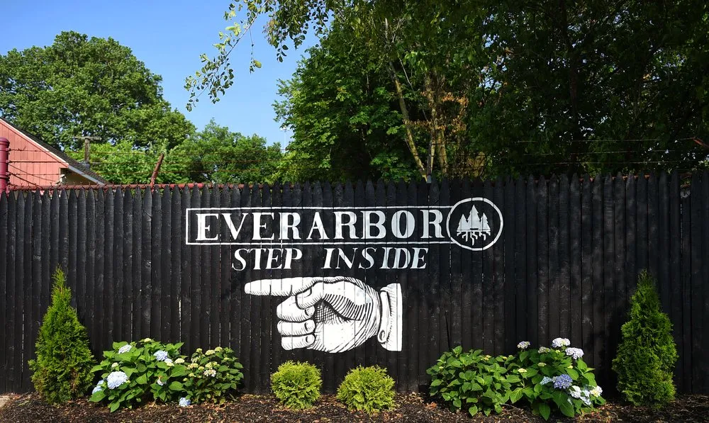 Custom yard cleanup service in Lakewood, OH by The Everarbor Company