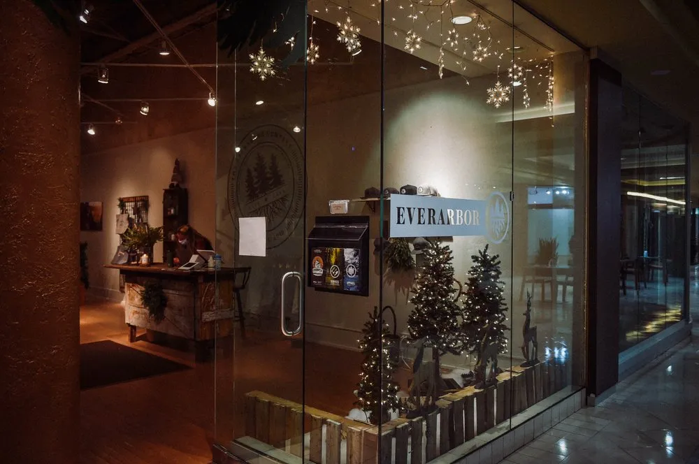 Trusted yard cleanup service for year-round maintenance across Lakewood, OH - The Everarbor Company