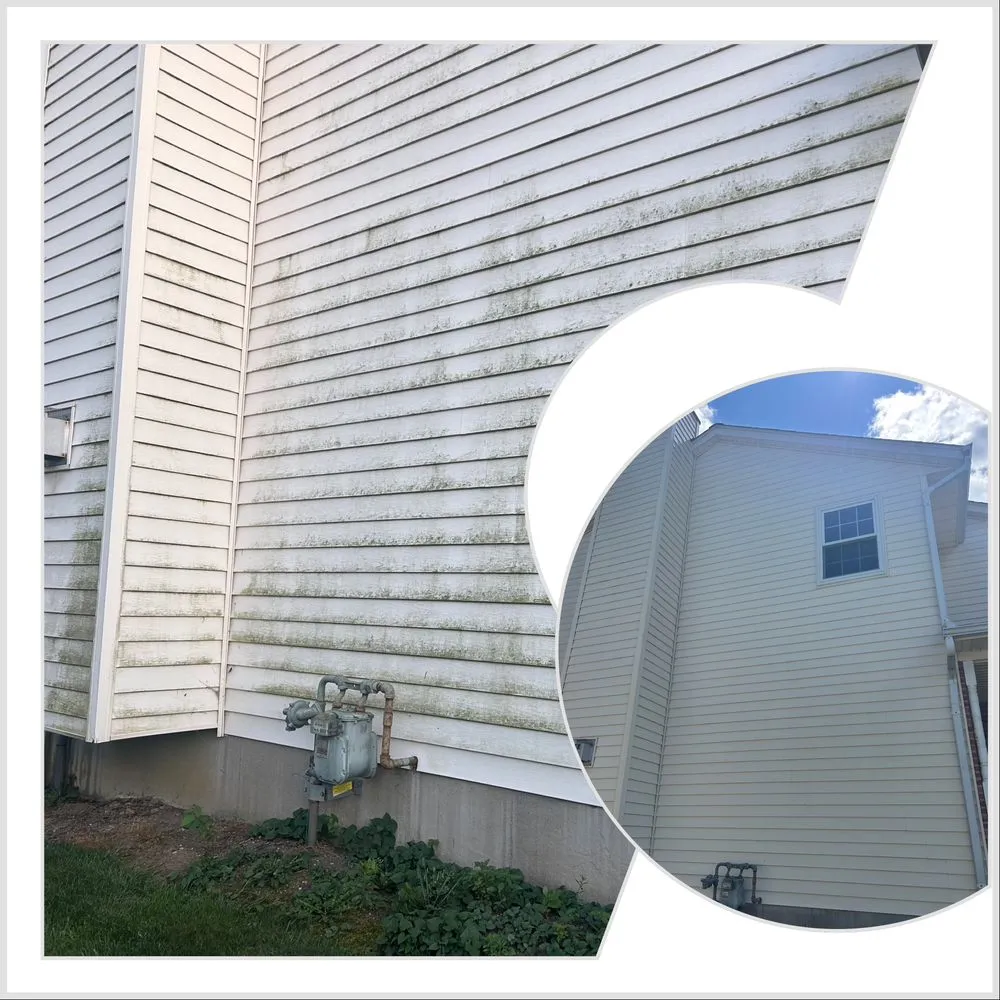 Top-rated residential landscaping experts serving Middletown, OH - The Everything Company