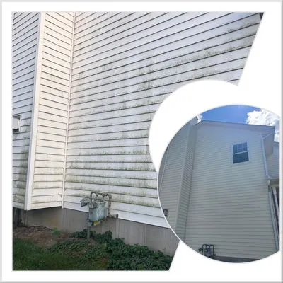 The Everything Company Logo