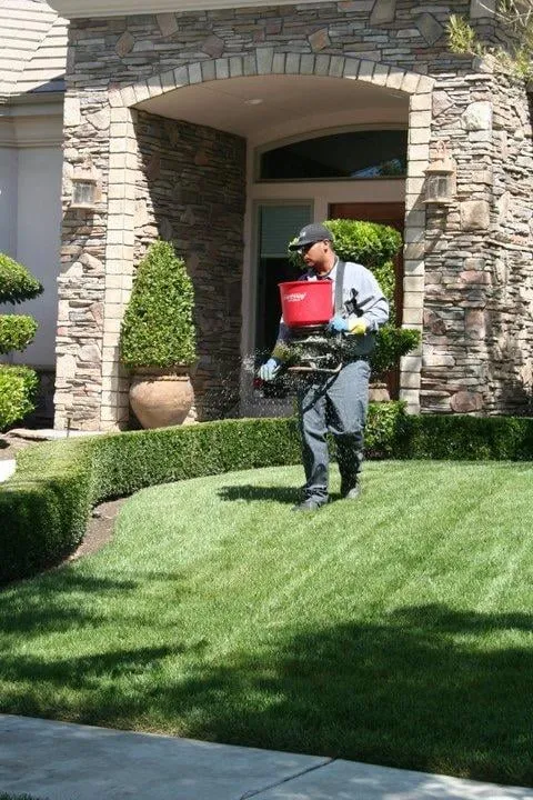 Trusted lawn mowing service near you across Visalia, CA - The Experienced Gardener