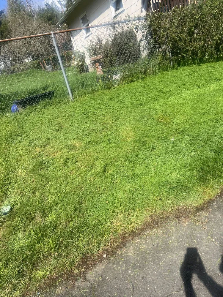 Reliable landscaping services in Corvallis, OR - The Extra Hand