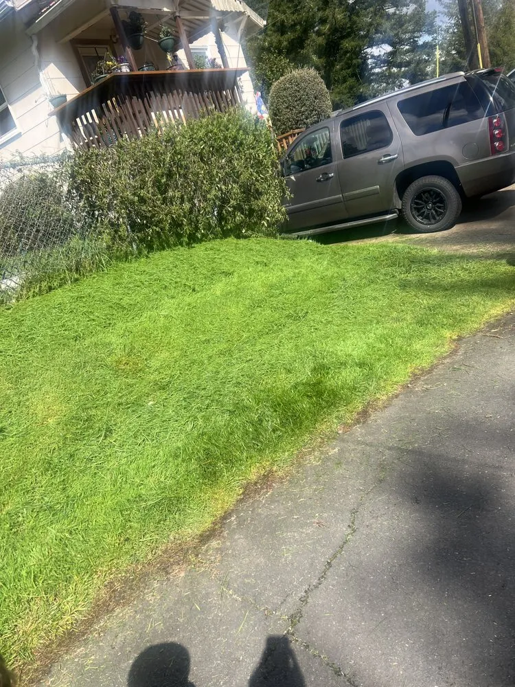 Expert landscape design in Corvallis, OR - The Extra Hand