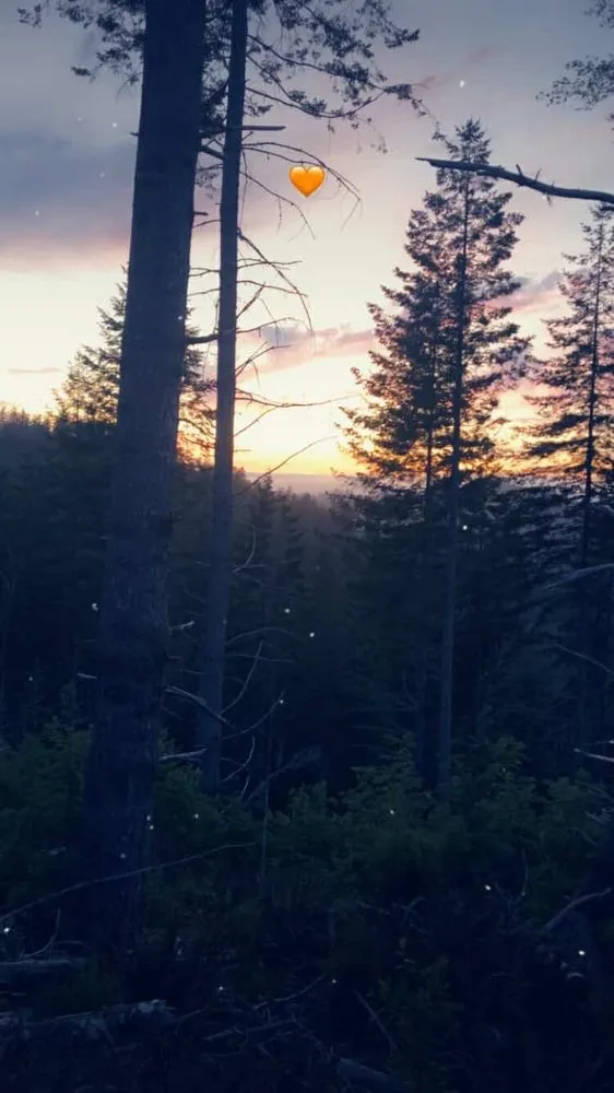 Professional outdoor landscaping in Corvallis, OR - The Extra Hand