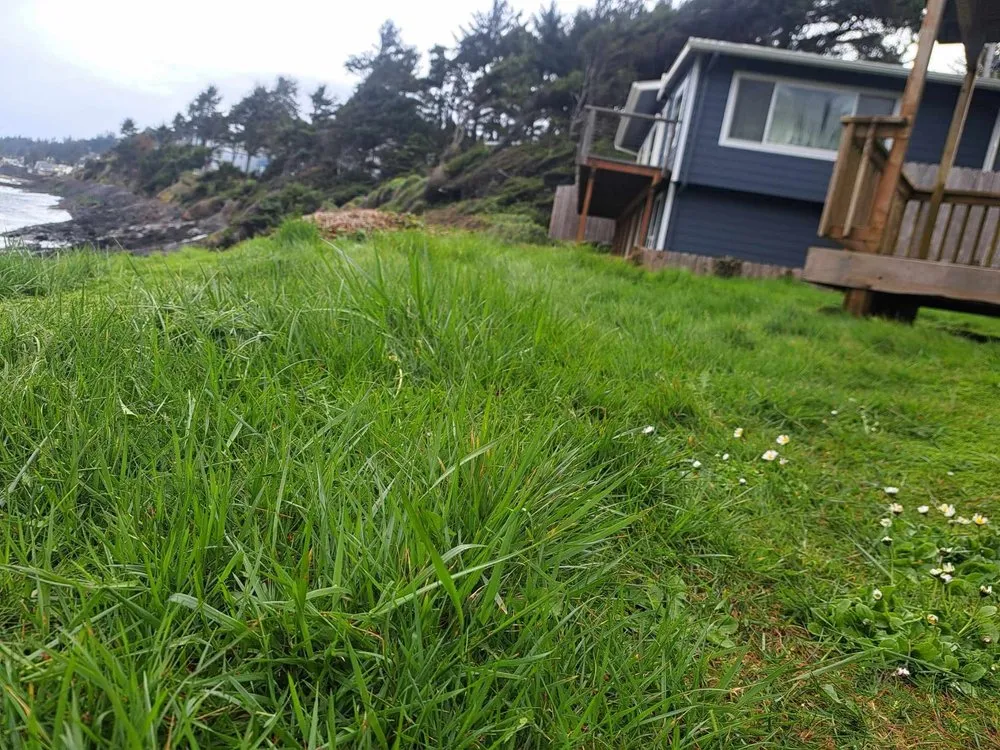 Expert garden landscaping in Corvallis, OR by The Extra Hand